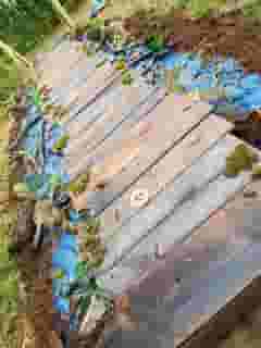wooden walkway