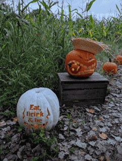 carved pumpkins