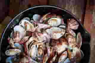 Hobo Clams
