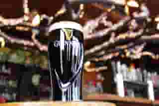 pint of guinness