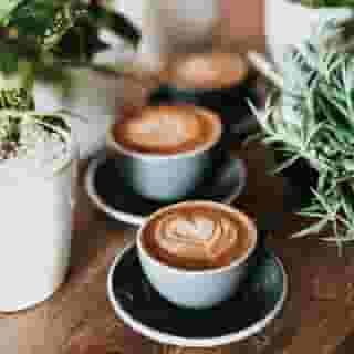 coffee