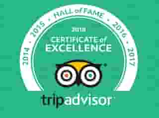 trip advisor
