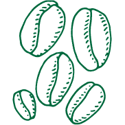 coffee beans