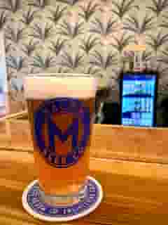 Sea Legs 5% (Sour Gose)