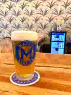 Macon Dreams 5% (Peach Blonde Ale)