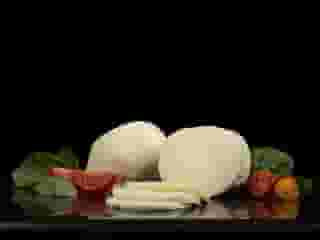 Fresh Mozzarella Cheese