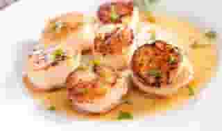 Pan Seared Scallops