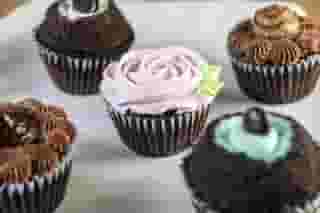 Gourmet Cupcakes