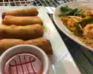 Fried Spring Rolls (4)