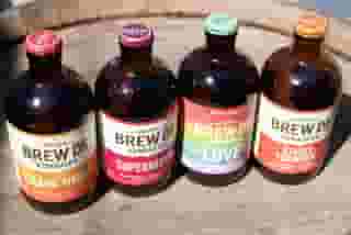 Brew Dr. Organic Kombucha