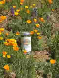 Crowlers
