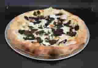 Funghi