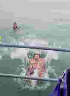 The Plunge