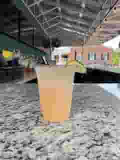 Grapefruit Crush