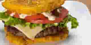 House Hamburger