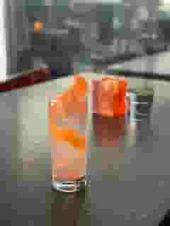 PANDEMIC PALOMA