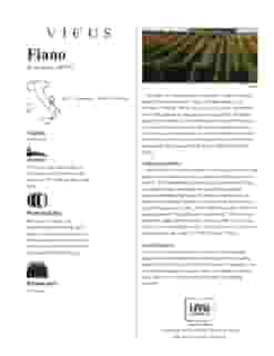 Vicus Fiano, Fiano, 2016