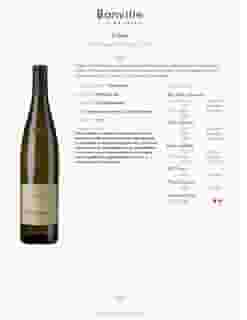 Terlano Pinot Bianco, Pinot Blanc 2017