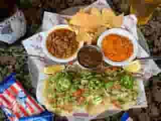 Golden Fried Fish Tacos