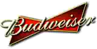 Budweiser-16oz aluminum