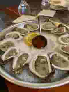 Oysters