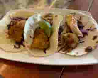 HADDOCK TACOS