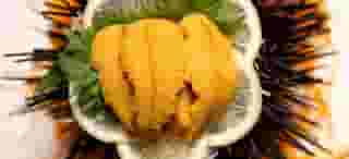 uni