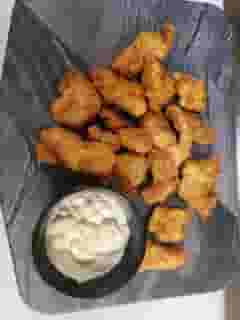 Gator Bites