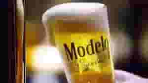 Modelo Especial Draft