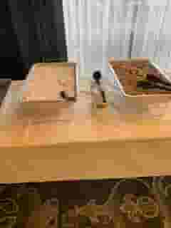 catering table