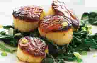 Scallops*