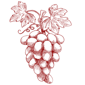 grapes