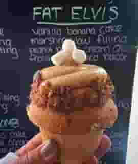 Fat Elvis