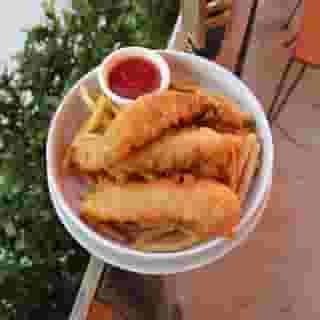 Chicken Tenders & Fries