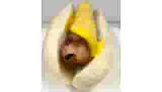 Cheese Hot Dog
