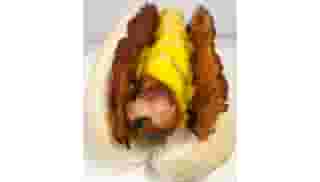 Bacon Cheese Hot Dog