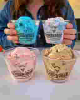 Homemade Ice Cream