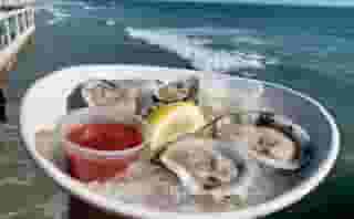 Oysters