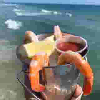 Shrimp