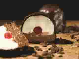 Bomba