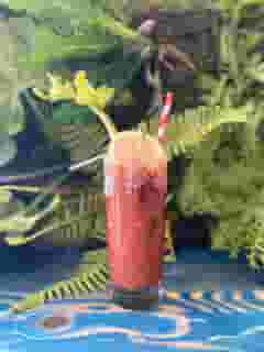 House Jerk Bloody Mary