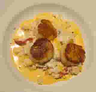scallops