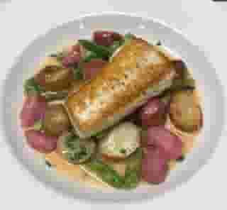 halibut