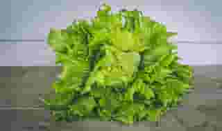 lettuce