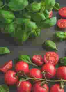 tomatoes