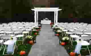 The Garden