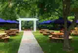 The Garden