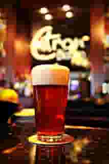 beer