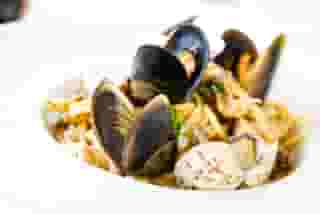 Seashell dish