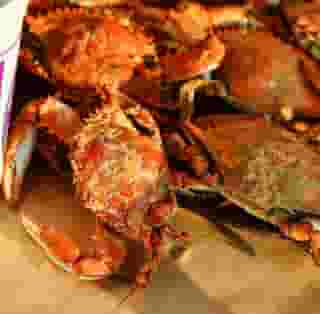 crabs